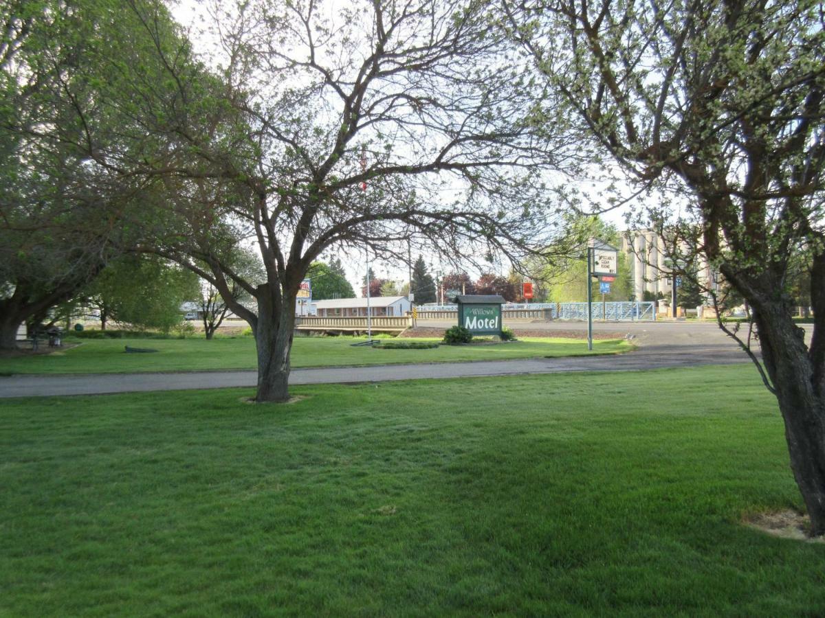 The Willows Motel Wilbur Esterno foto